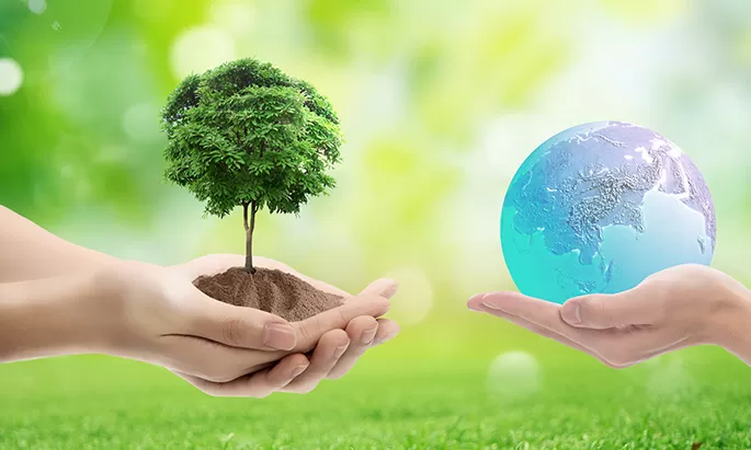 Sustainability & The Manufacturing Process