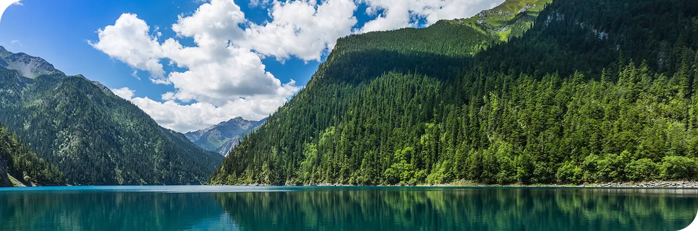 Durability & Heat Resistance